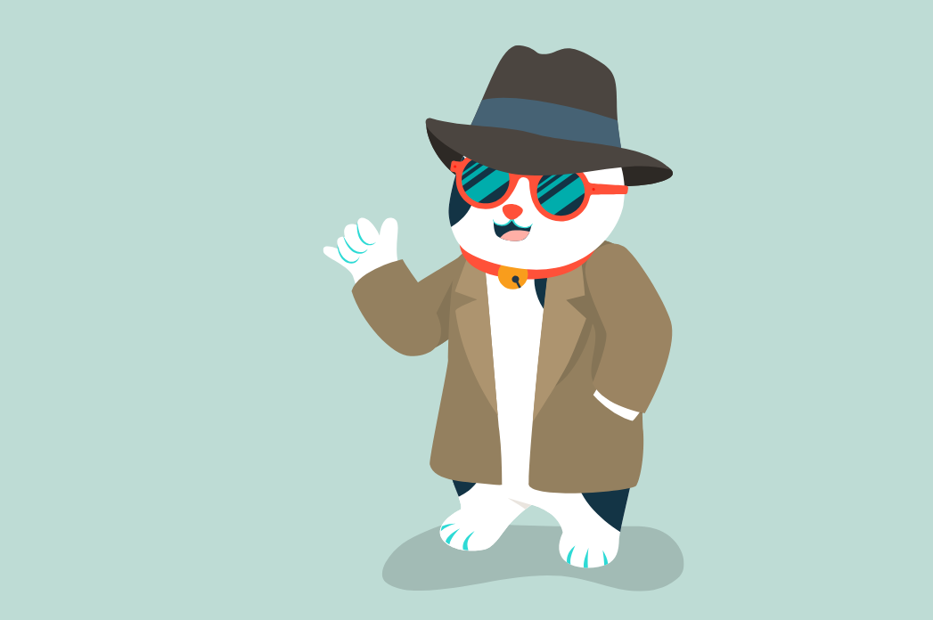Shaka Cat Fraud