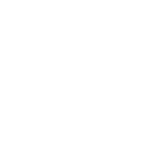 Wealth Planning And Investments