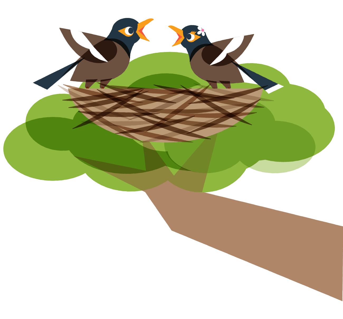 Mynah Birds In Tree Branch Source