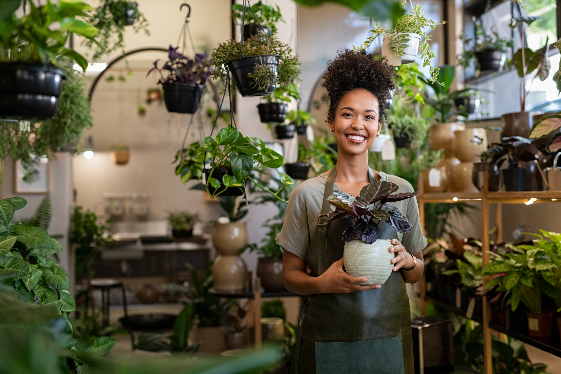 Small Business Plants